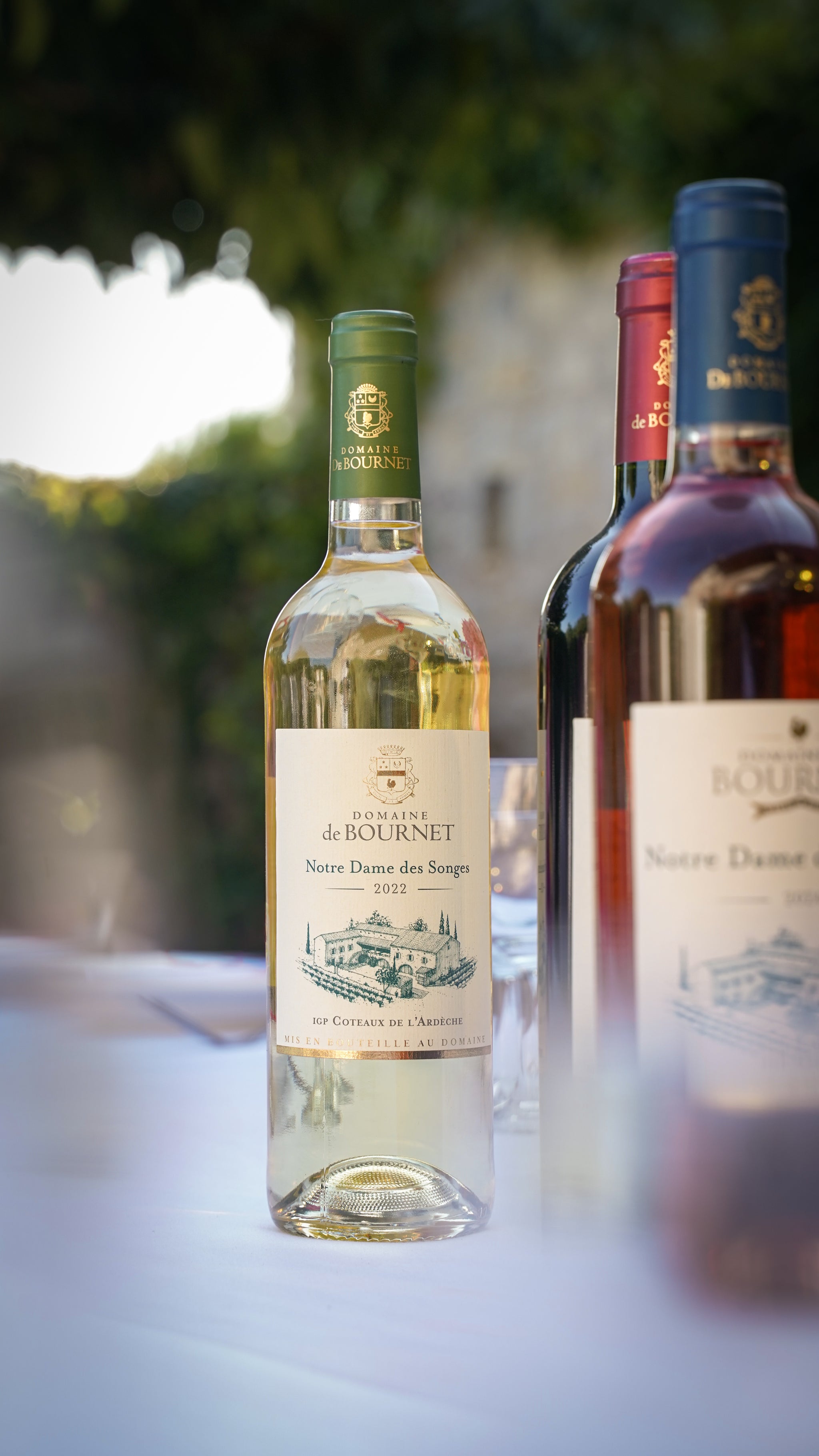 Blanc Notre Dame des Songes Chardonnay